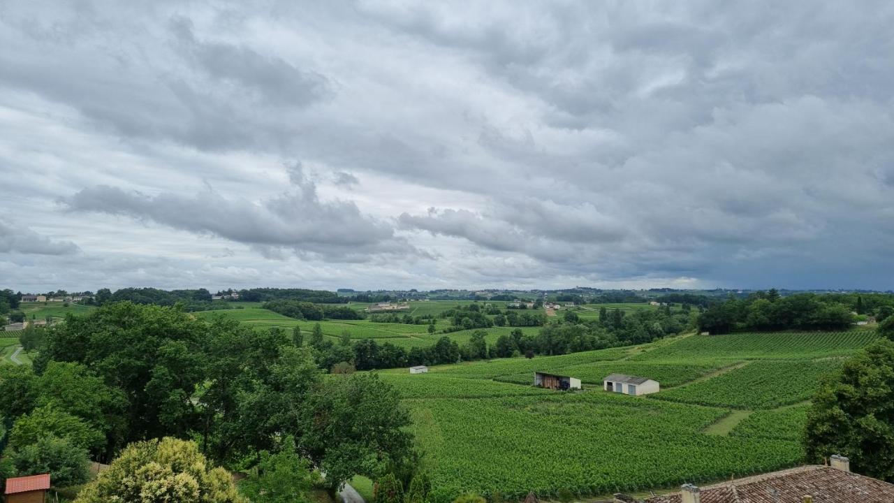 Gite Du Vignoble Puisseguin Bagian luar foto